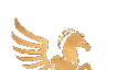 Pegasus